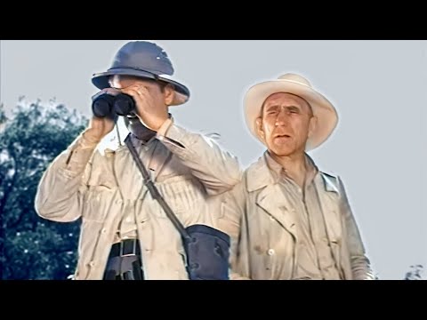 The Fang Strikes – Terry And The Pirates 1940 (Adventure, Thriller) TV Serial – episode 2