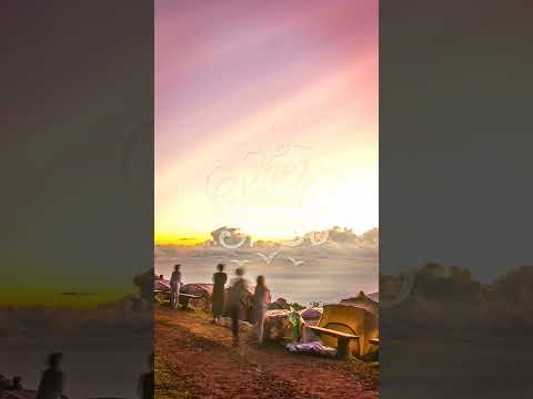 Rhea Silvia – Say Goodbye #shorts