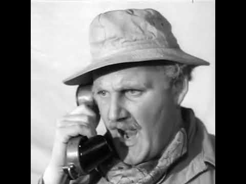 📞 I was busy, I’m still busy!  #moviequote #daneclark
