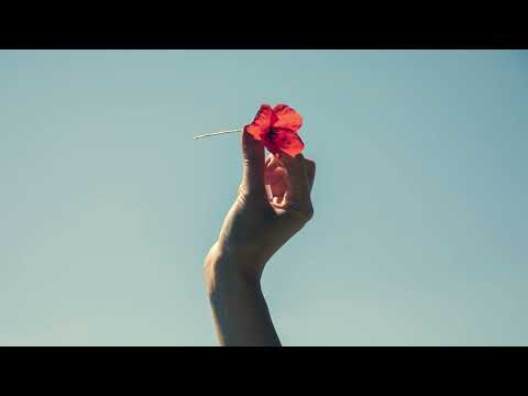 EVAN GIIA – Hard Feelings