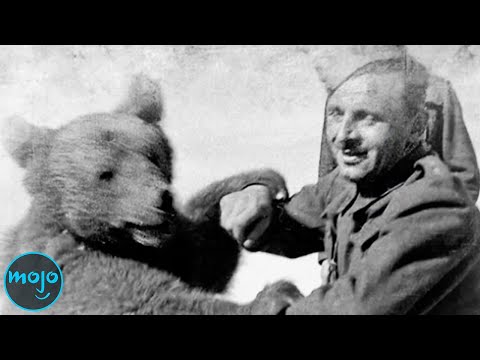 Top 10 Craziest Stories in History NO ONE Talks About