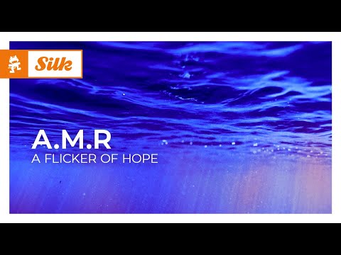 A.M.R – A Flicker of Hope [Organic House | Monstercat]