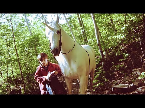 Nico the Unicorn (1998) A Heroic Adventure of a Boy Who had the Courage to Dream
