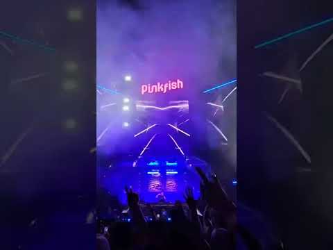 AVB – Wild Wild Son (Richard Durand Remix) #LivePinkfishFestival2024