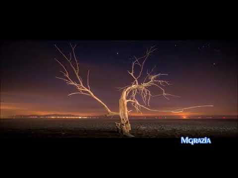 Craig Connelly feat  Jennifer Rene –   No One Like