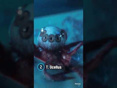Creatures in Alien: Earth Ranked from Least to Most Terrifying