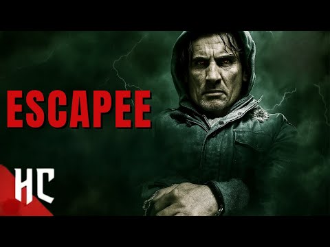 Mental Patient on the Loose | Escapee | Full Horror Movie in English