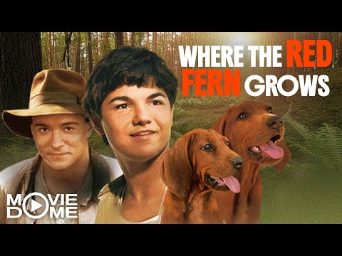 WHERE THE RED FERN GROWS – (Family Adventure Movie) – FULL MOVIE