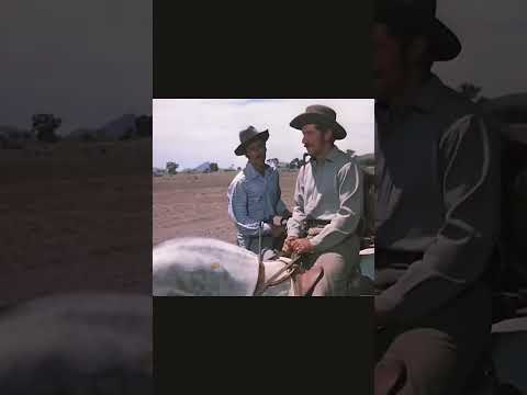Do you smell Australian Bacon? #police #westernmovie #australia
