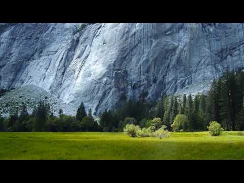 Michael Badal – Deltree (ISOS 8 album – Richard Durand mix)