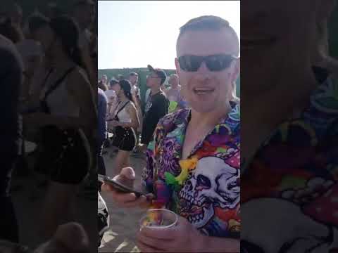 Paul Van Dyk luminosity beach festival 2023
