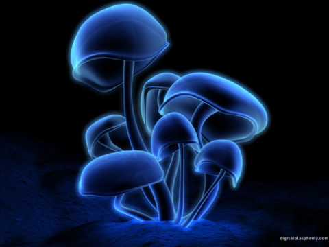 Prodigy – Smack My Bitch Up (richard durand remix)
