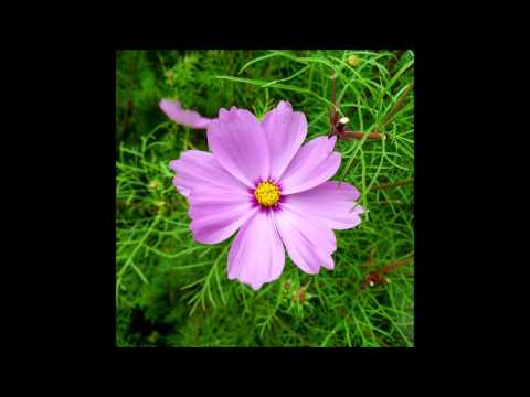 Richard Durand & Neev Kennedy – Running On Empty (Richard Durands Radical Mix)