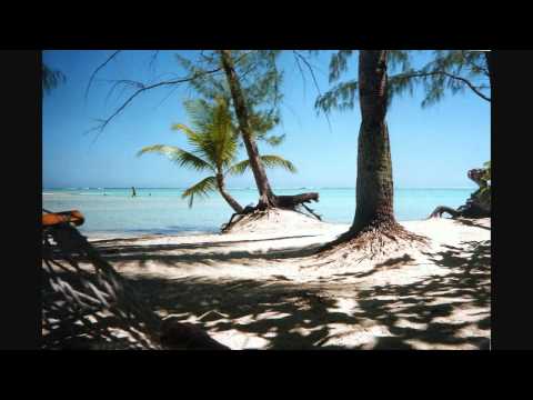 Richard Durand-Sunhump (Amazing guitar part)