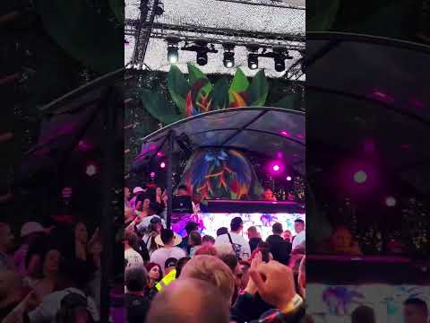 The Thrillseekers @ Luminosity Beach Festival 2024