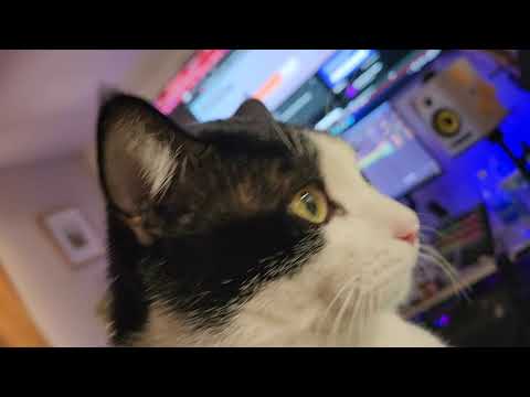 I cant stand it, I know ya planned it.