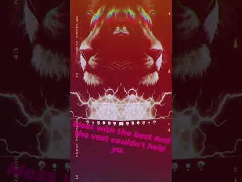 I love it when they fear me #tupac #remix #frequencyhealing #cat #2025