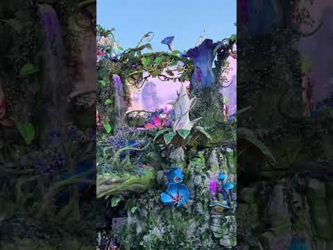 The beauty of the LIFE MainStage #electronicmusic #tomorrowland