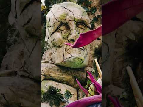 A magical journey awaits at Tomorrowland Brasil #electronicmusic