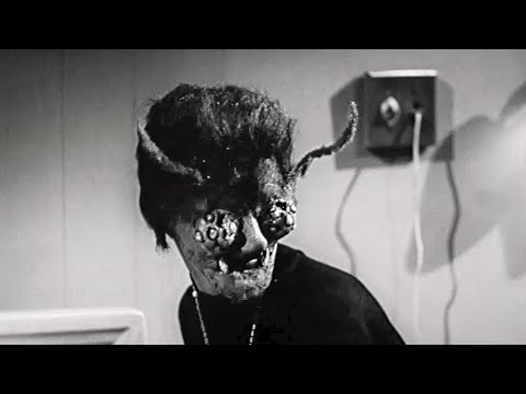 4K – The Bee Girl (1959) A beautiful woman by day – a lusting queen wasp by night