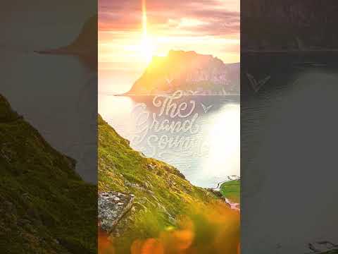 w.ill & Seawayz – Solstice #shorts