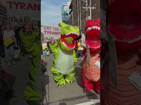 No Kings Protest Highlights