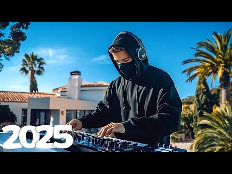 Alan Walker, Dua Lipa, Coldplay, Martin Garrix & Kygo, The Chainsmokers Style 🔥 Summer Vibes