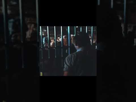 Discovery of the creature