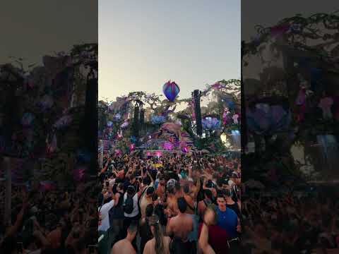 Kevin de Vries at the LIFE MainStage at Tomorrowland Brasil.