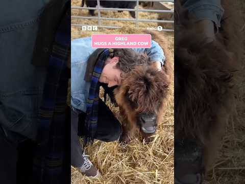 too wholesome 🥹 #RoguePromises #GregJames #HighlandCow