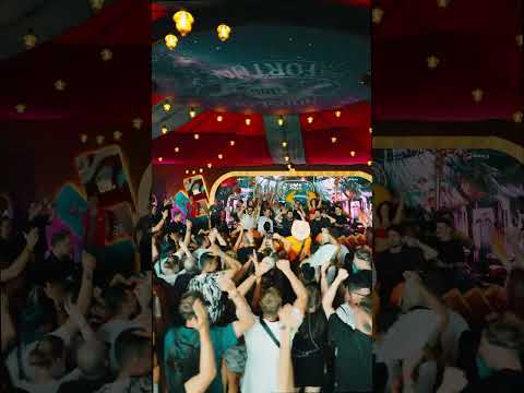 Brazilian energy, Dubdogz b2b Cat Dealers at the House of Fortune.