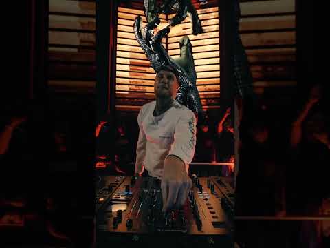 MORTEN 🤝 Mexico crowd