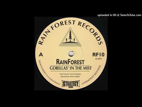 Rainforest – Gorillas In The Mist