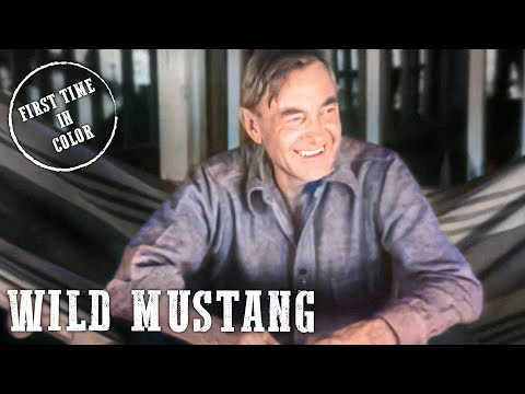 Wild Mustang | Harry Carey | Western | 4K | Colorized
