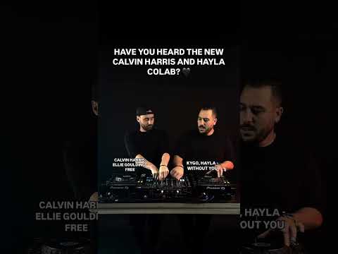 We haven't either, but just imagine if they did…