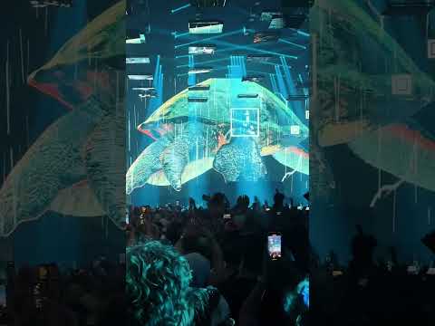 Making memories that will last a lifetime at the Freedom Stage.