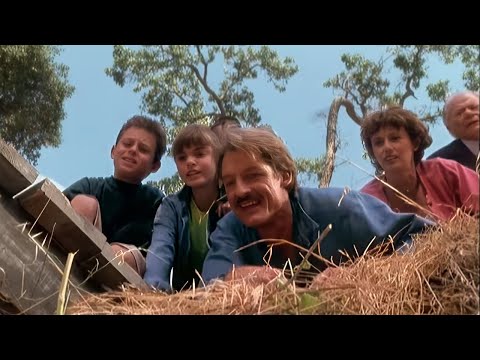 1998 – The Adventures of Ragtime – the little horse with big plans