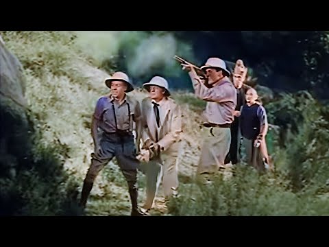 Colorized Marathon | Terry and the Pirates (1940) Episodes 1 to 14