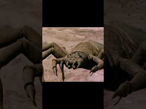 Fall into a giant spider nest 🕷️🕸️