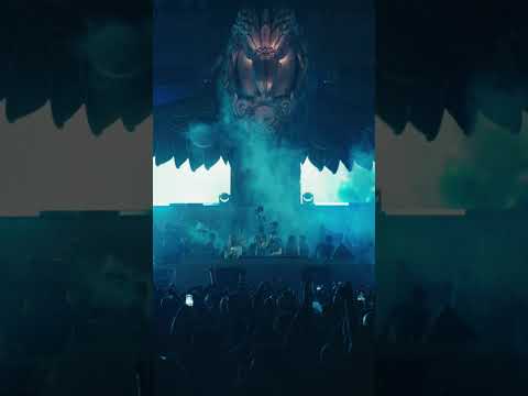 A special night with Alok under the desert sky at Terra Solis Dubai.