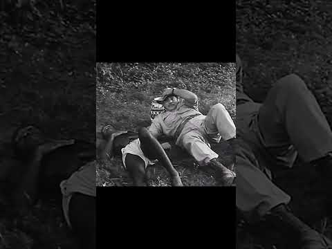 Stealing stolen civet musk