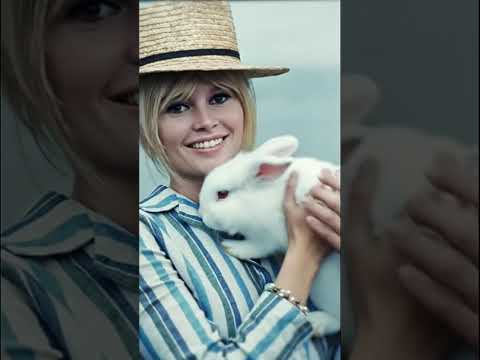 Brigitte Bardot loves animals