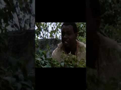 Fugitive on the run and hungry