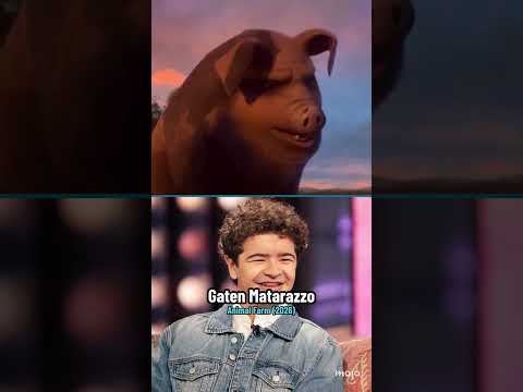 Stranger Things Cast: What’s Next?