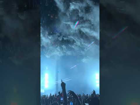 This is what Tomorrowland feels like.