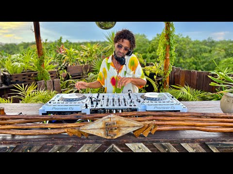 Nickodemus | Selva Tropical Sunset Mix 2026 | By @EPHIMERATulum