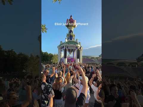 The vibes at Elixir just hit different