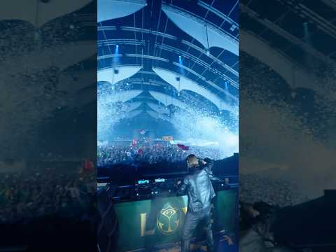 The energy of the MainStage, brought to life by Axwell