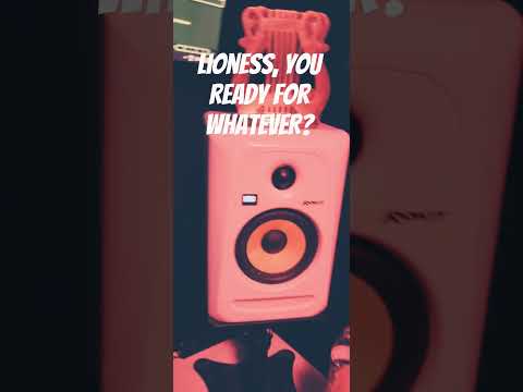 ready for whatever. #newmusic #cat #music #iloveyou #boop #touchedyournose