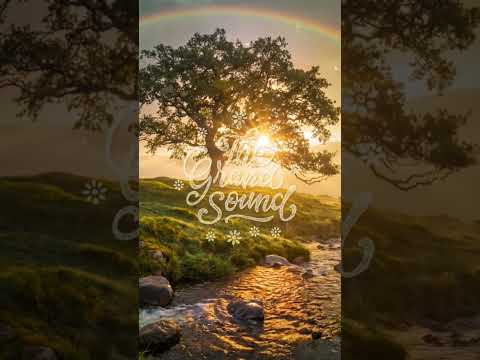 Furkan Senol – Alive #shorts